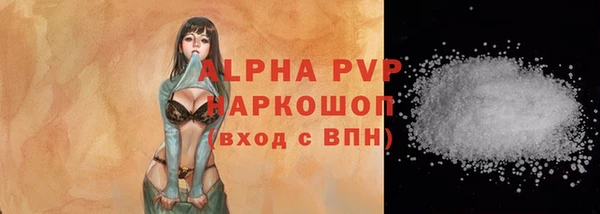 2c-b Бородино