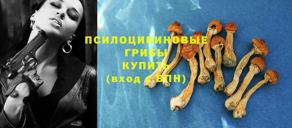 молекула духа Бронницы