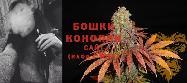 спайс Богданович