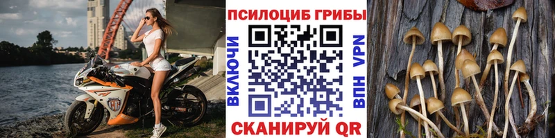 Купить закладки  Семёнов  Псилоцибиновые грибы мухоморы 